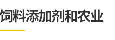 BG电子·(中国区)官方网站