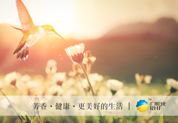 BG电子·(中国区)官方网站