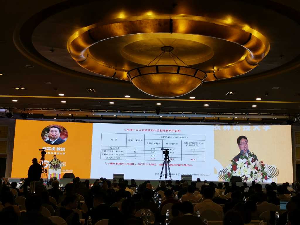 BG电子·(中国区)官方网站