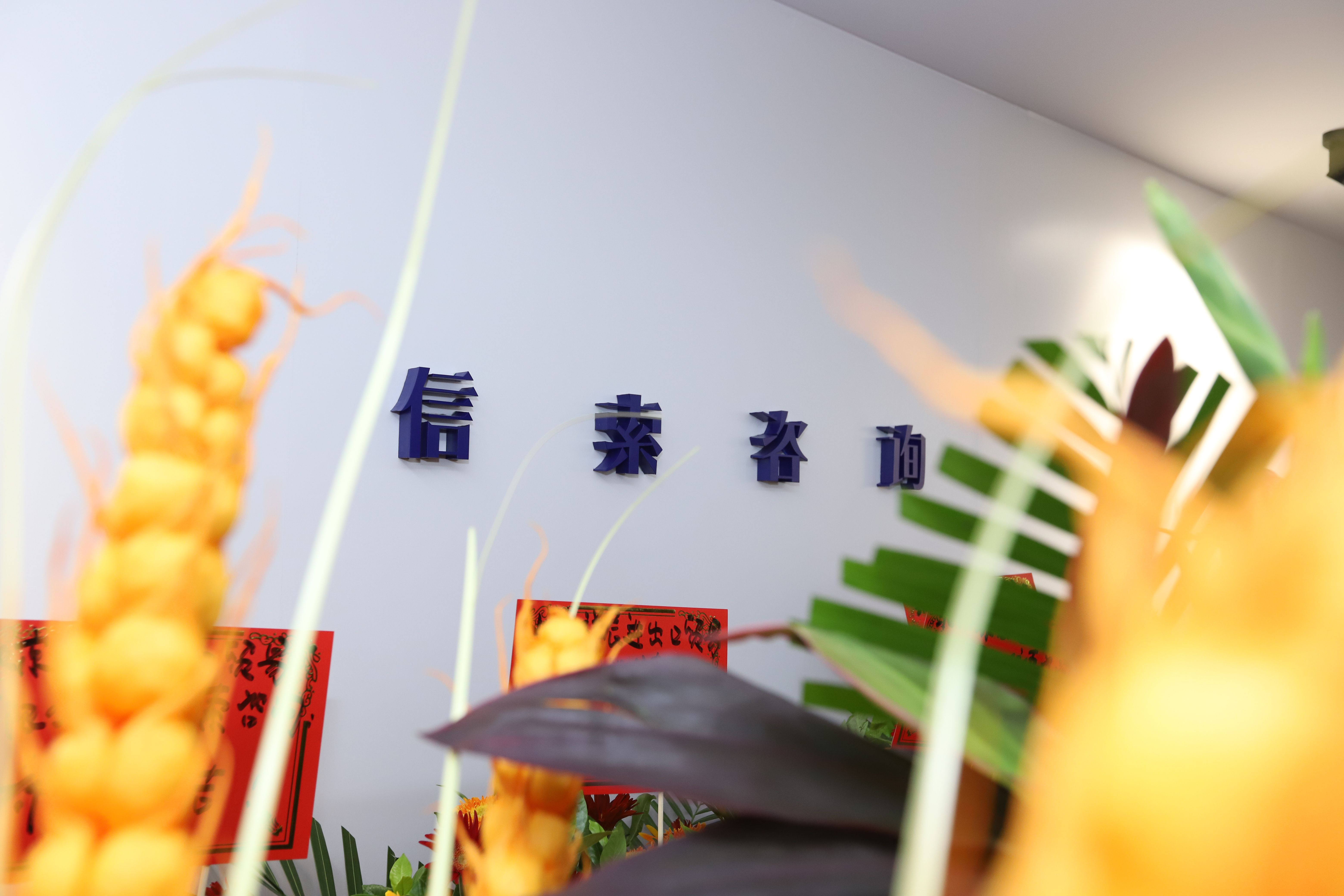 Saba体育 - 您的专属电较量事主场